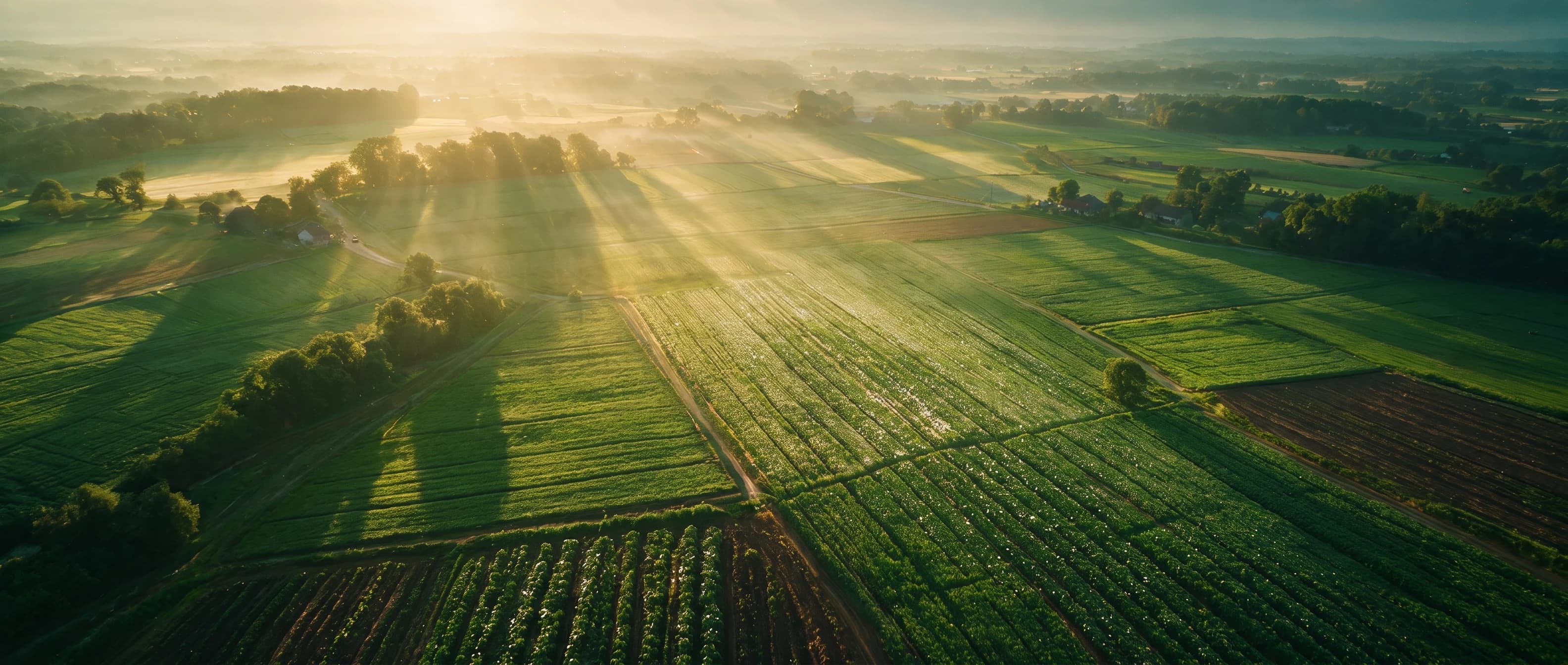 Agrify case study